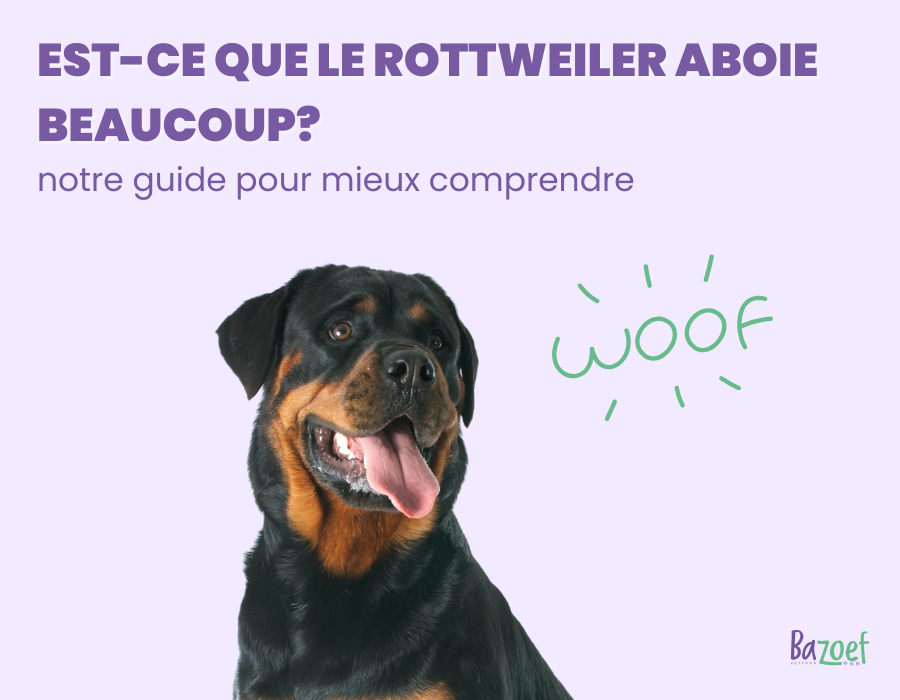 rottweiler barking infographic