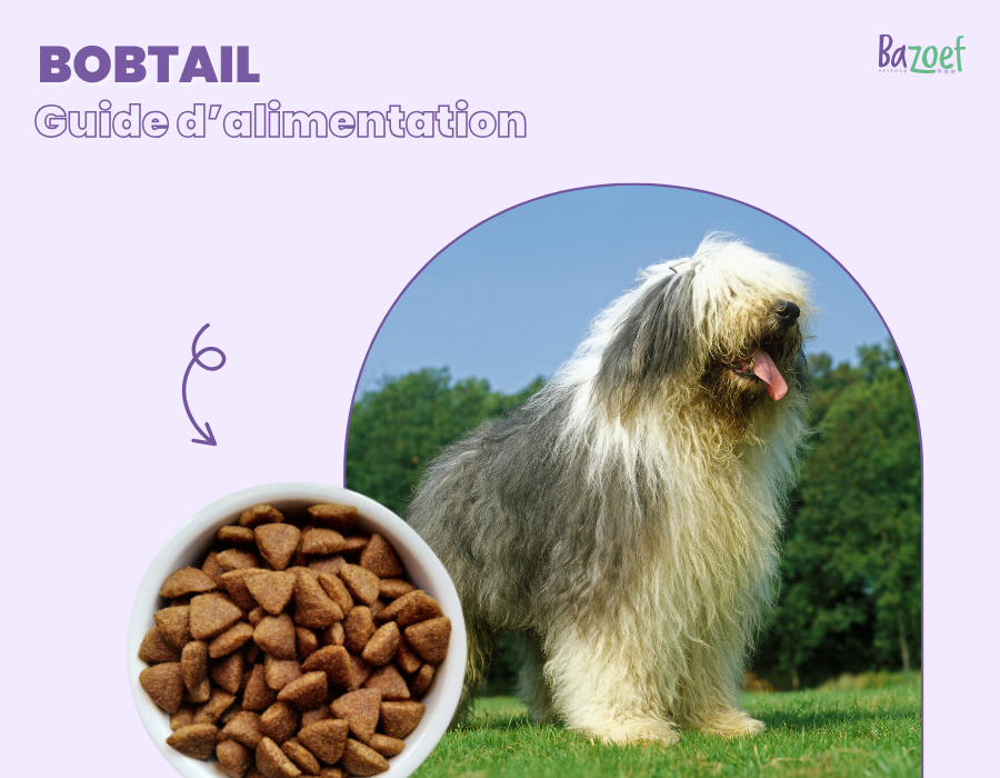 bobtail feeding guide cover image