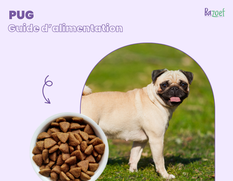 pug feeding guide cover image