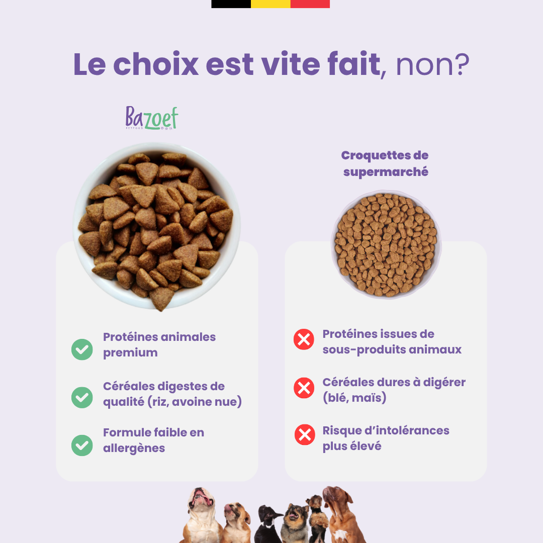 Bazoef Dog Kibble