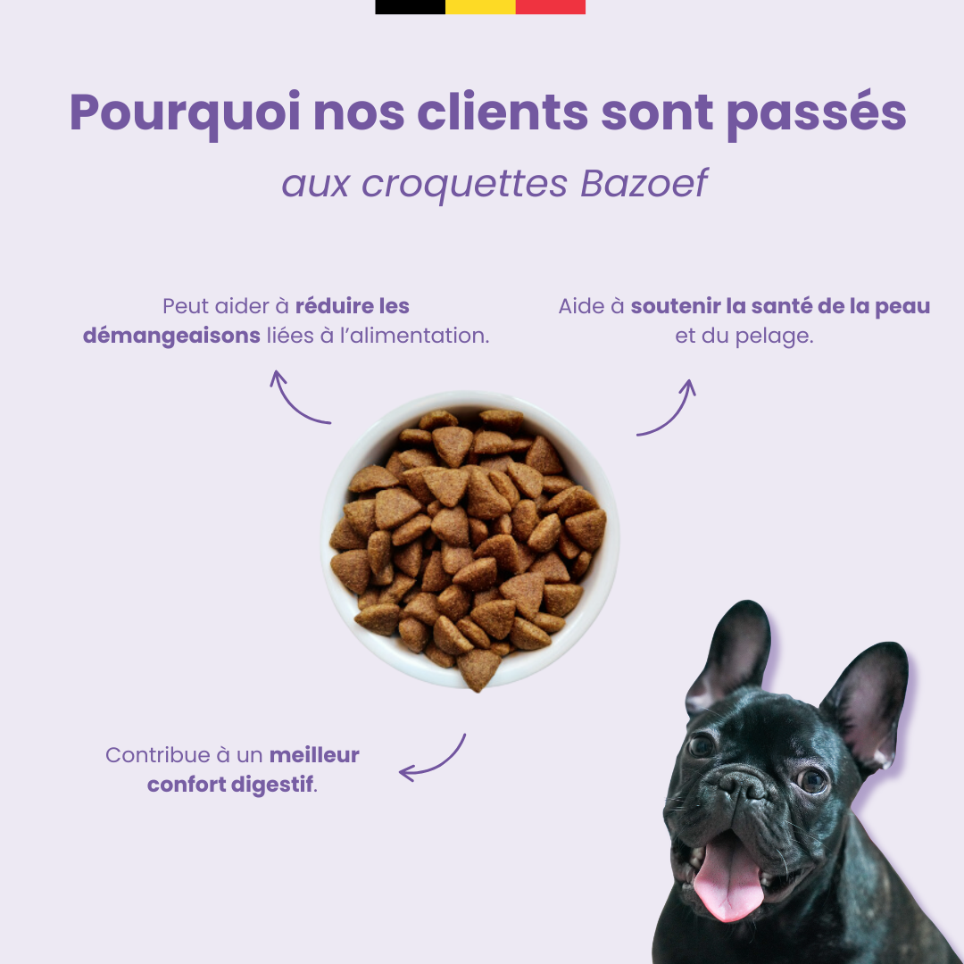 Bazoef Dog Kibble
