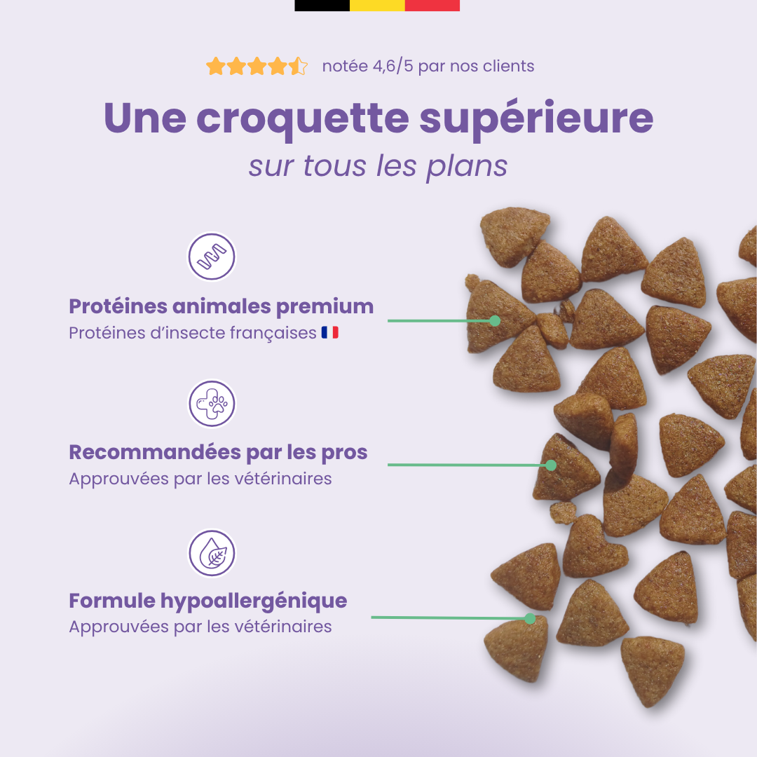 Bazoef Dog Kibble