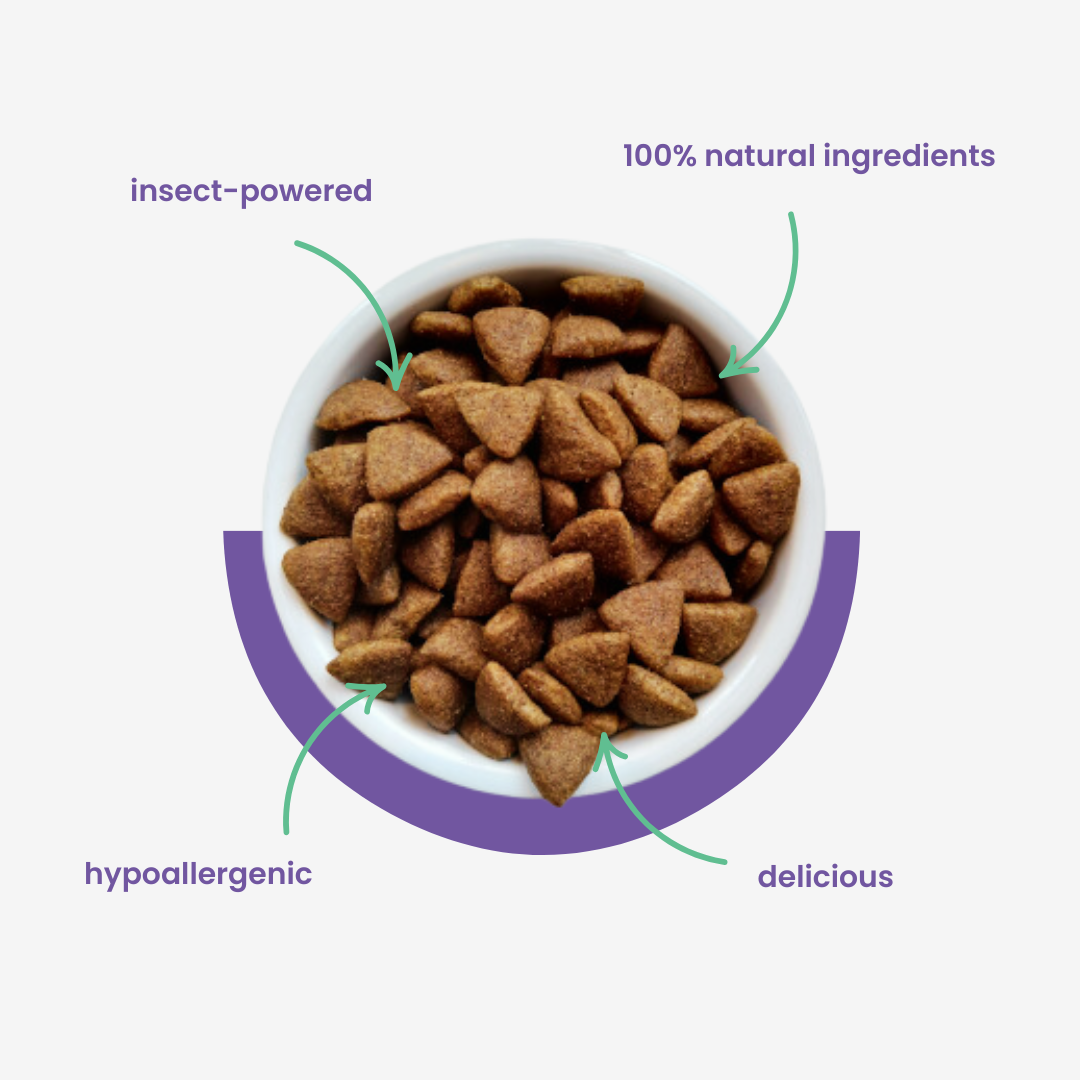 Échantillon - Croquettes Bazoef (200g)