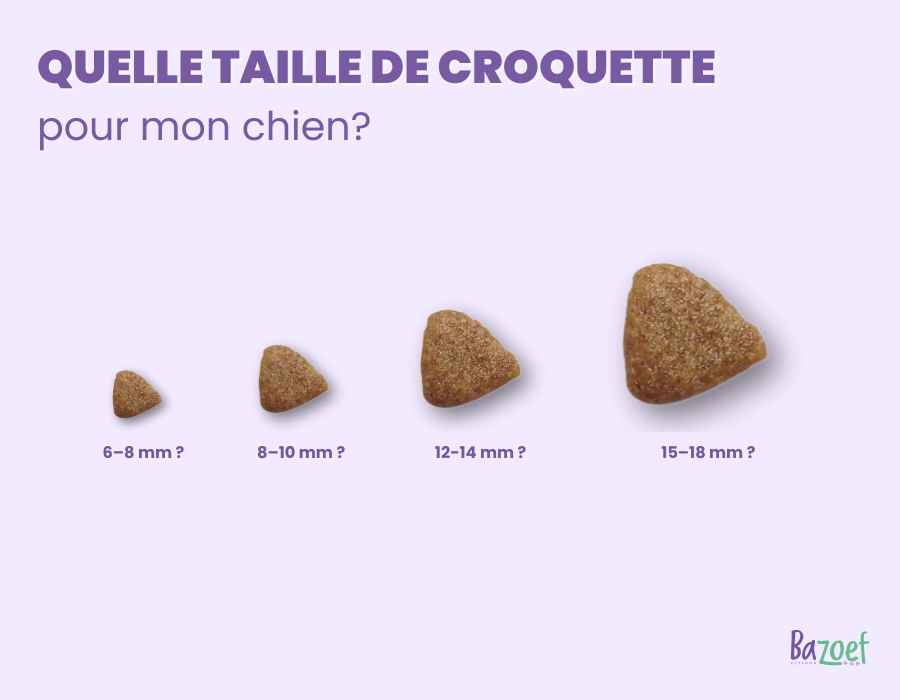 Bazoef Dog Kibble Size Guide